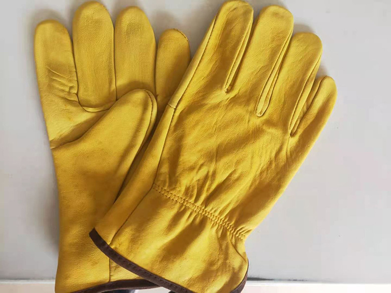 b0c67c37983945955ff9a15852f7d8