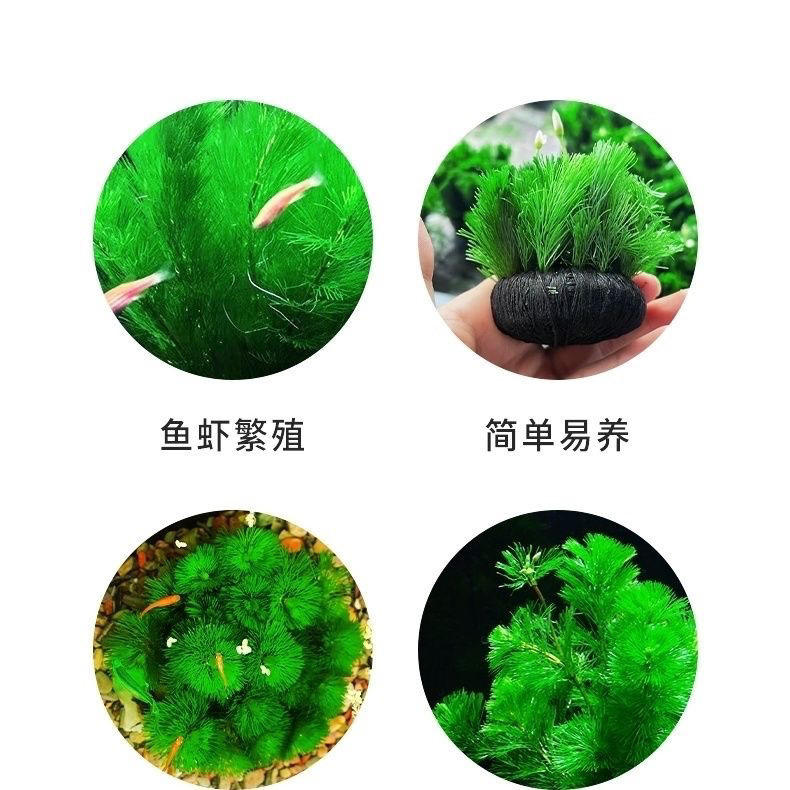 6f84c9ae-a3c1-4055-8dc0-6500f4116a43.jpe