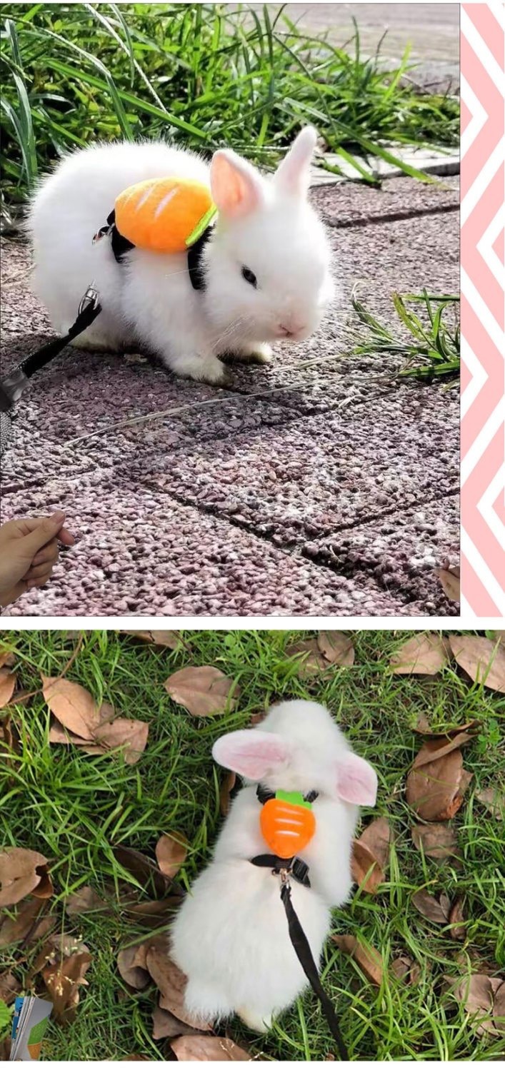 8fe27c01-d79f-4408-bcfa-6e96c2d2fbce.jpe