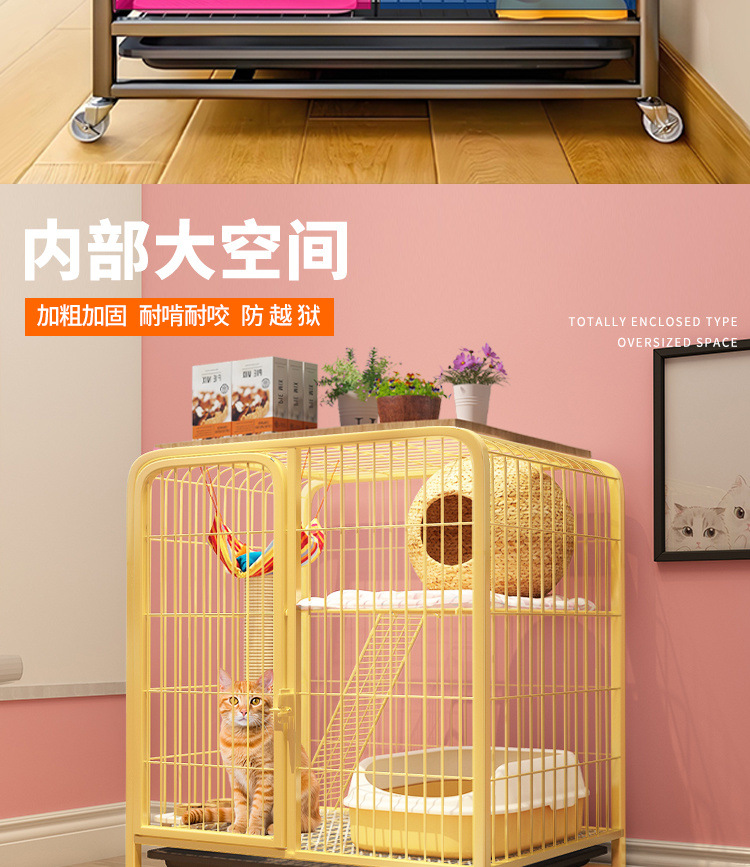 daf5e708-42f1-4da0-be7f-87c25b053d2a.jpe