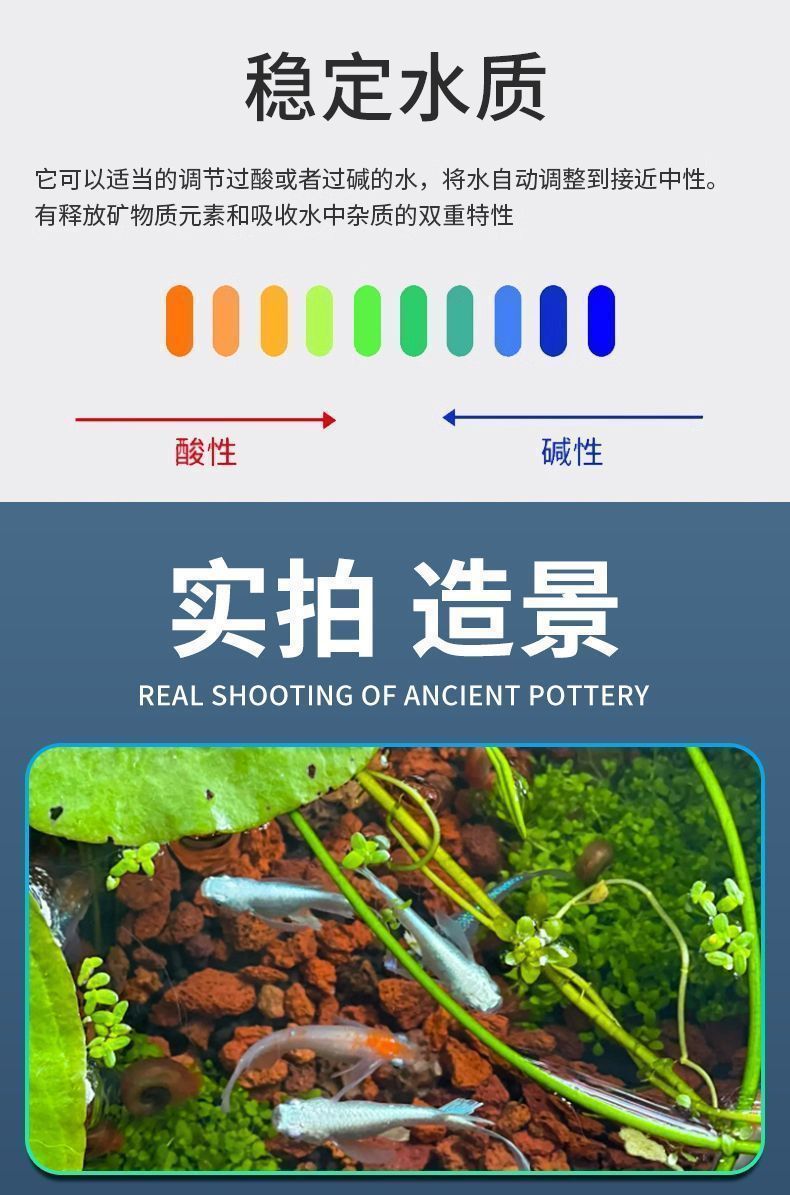 93009e12-8507-41f5-ad8b-d6128011249a.jpe