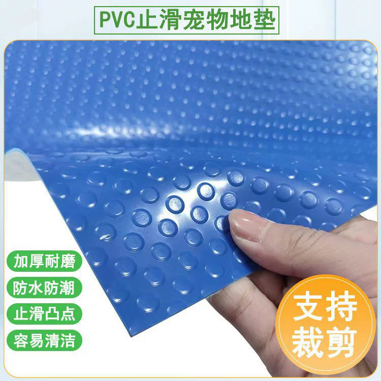 O1CN01NNSENU1S1EqL5GvoG_!!2986