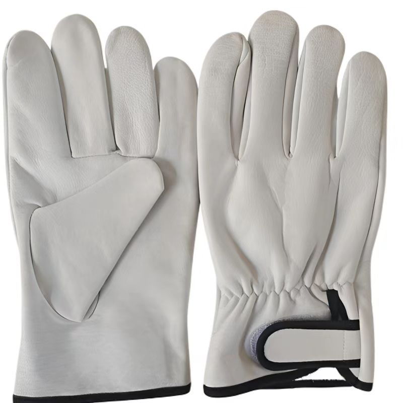 5e424313-77c6-4362-9d21-362d15