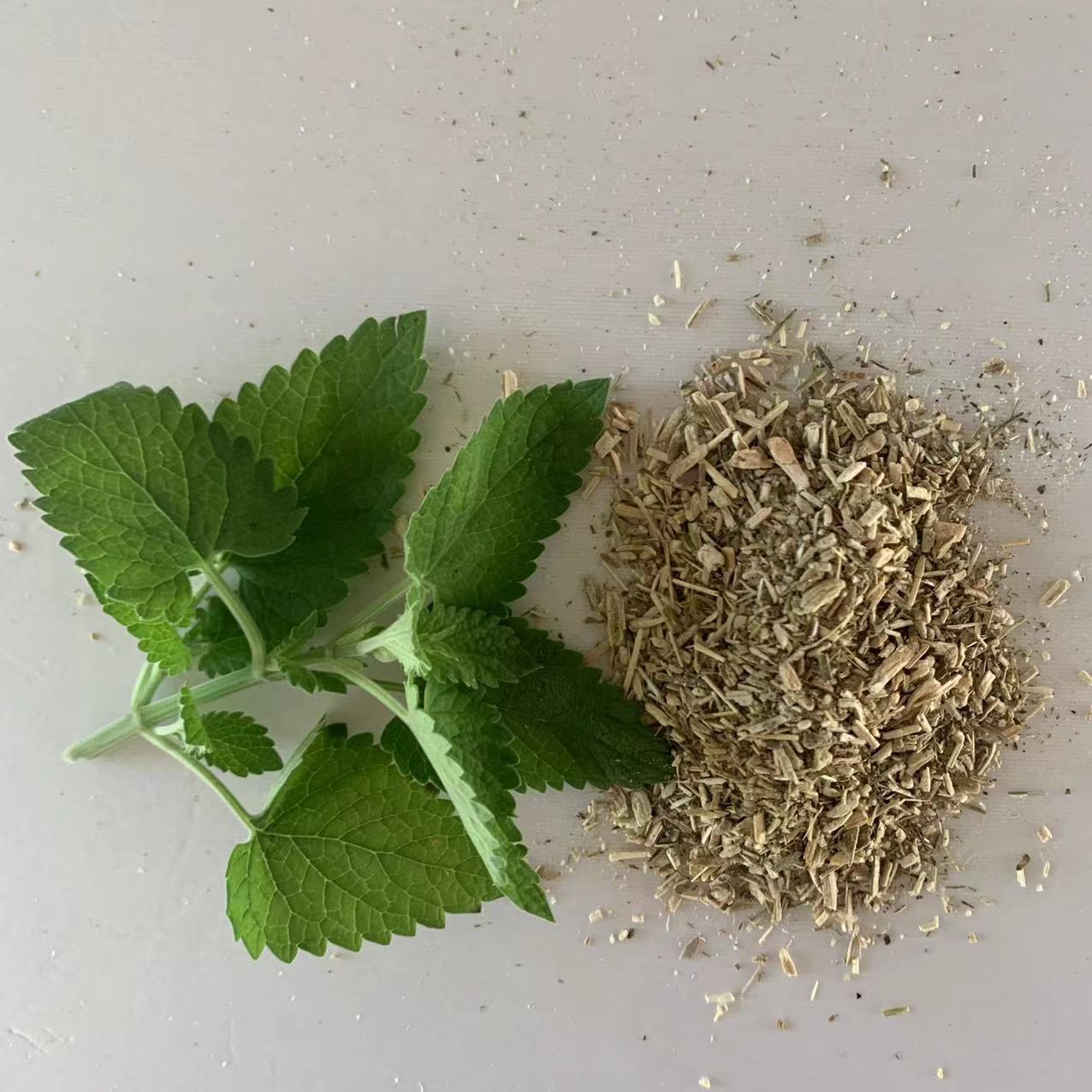 微信图片_20220912084018