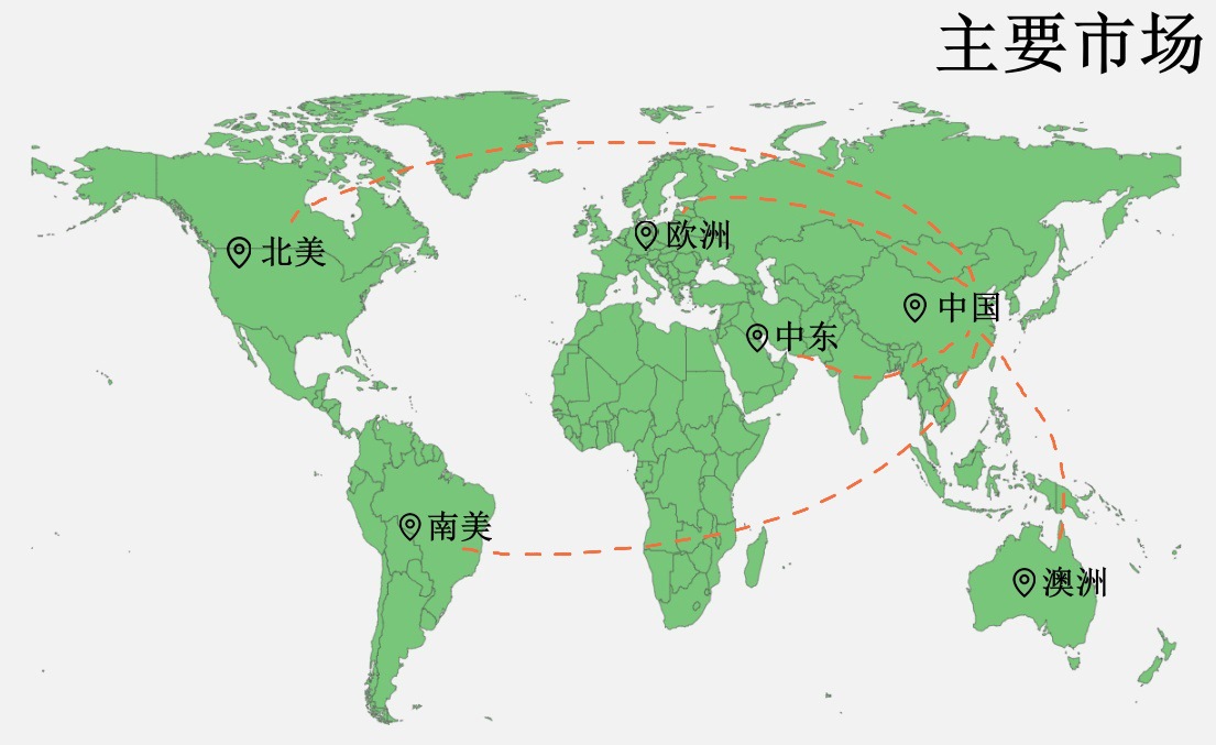 主要市场N.jpg
