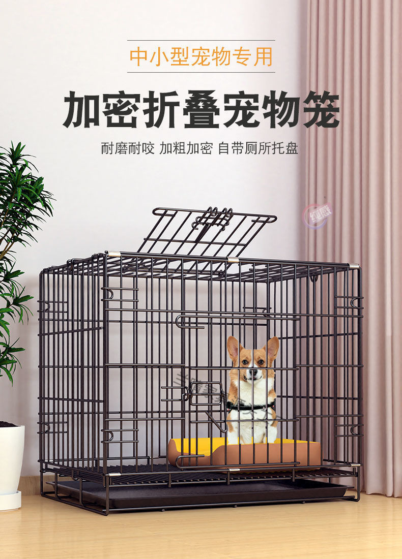 a4cbefc7-0658-48f1-bacf-c58cf1252623.jpe