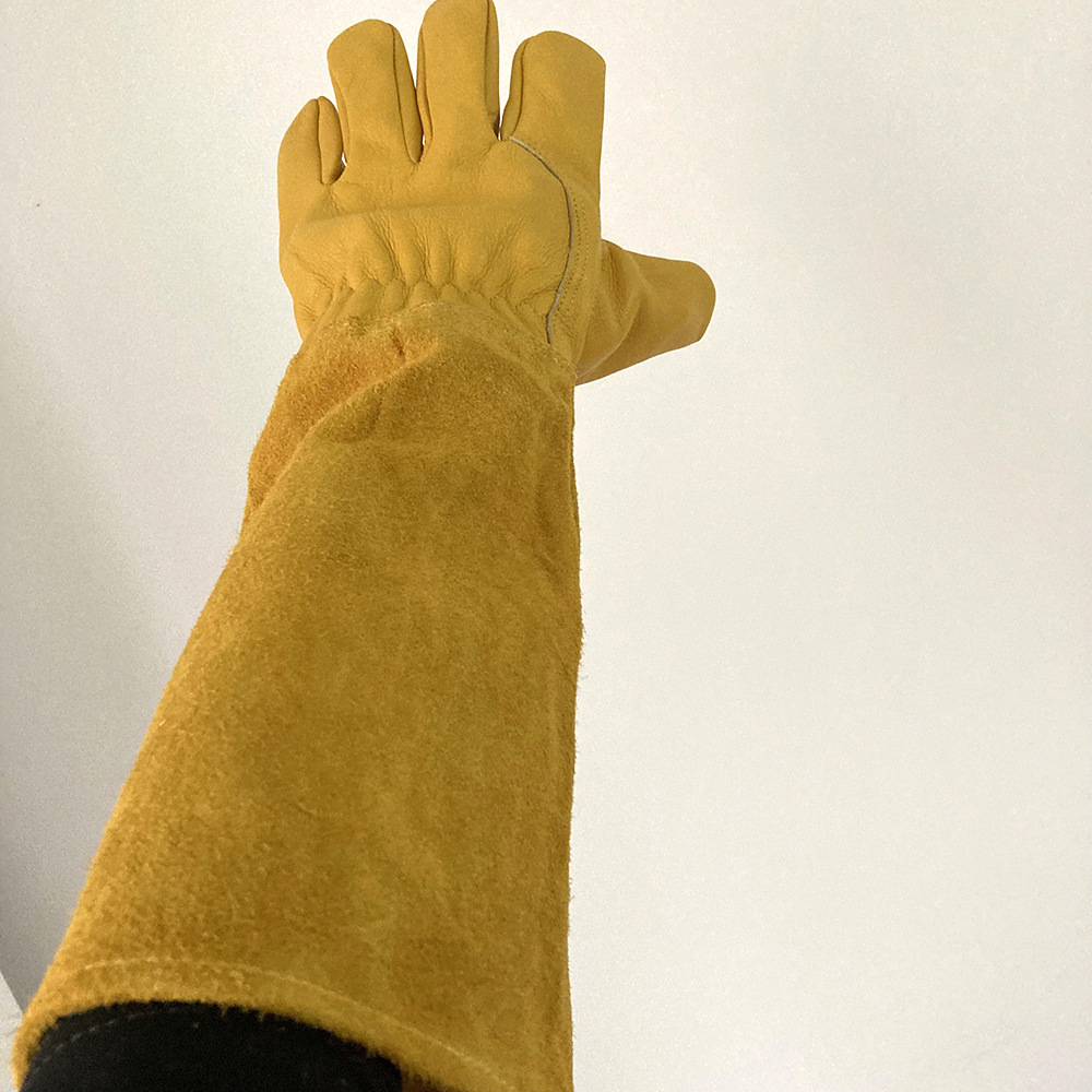 1 (6)
