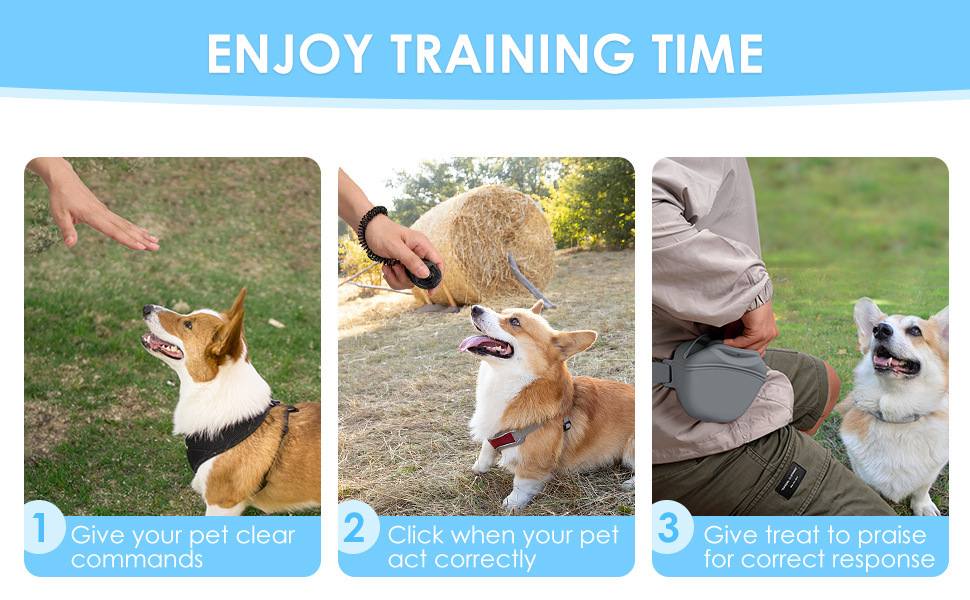 一键复制_20240704095835