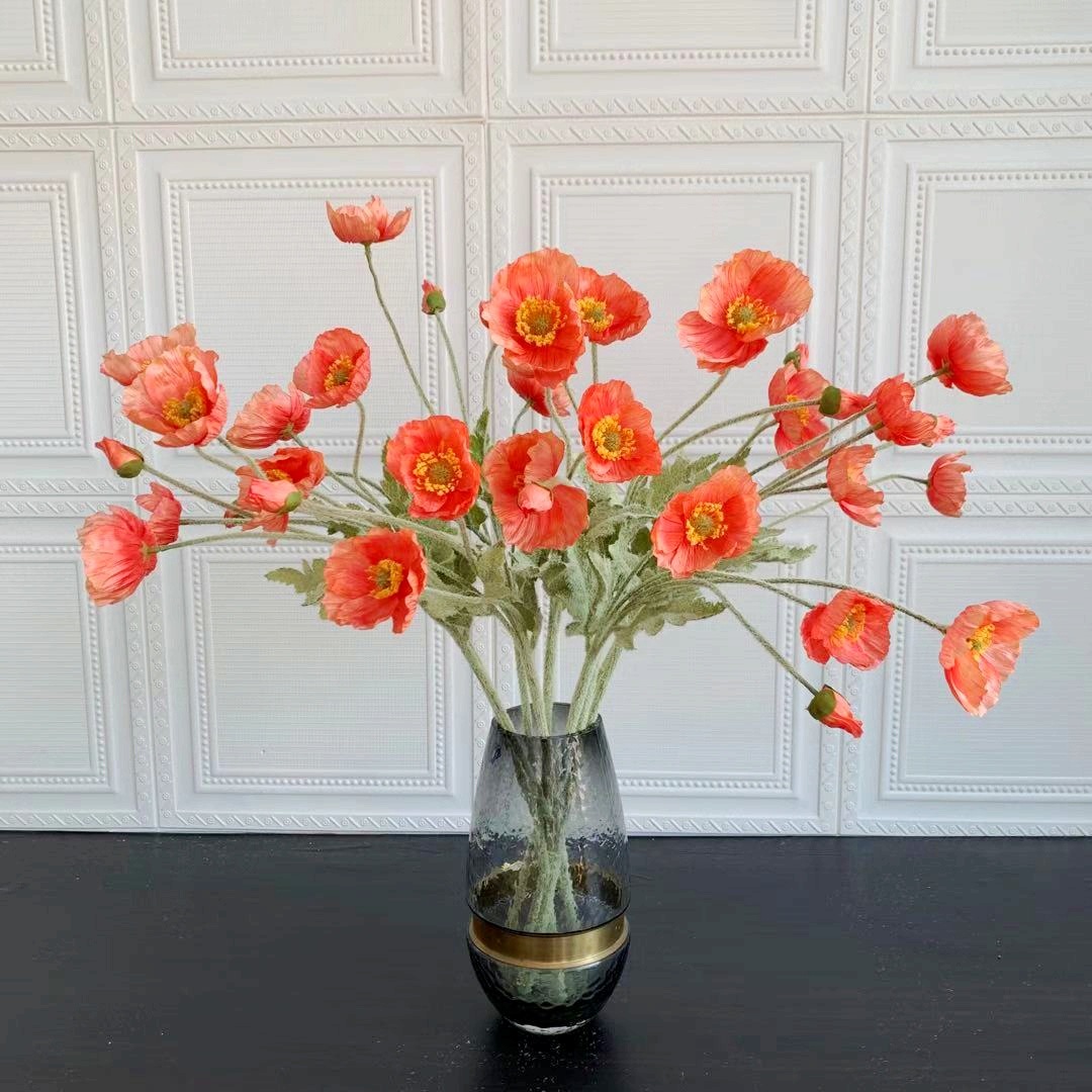 c234c83597b95846eccadbc76befdd