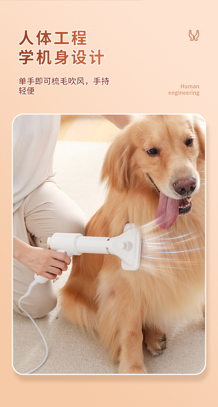 宠物吹毛器-拷贝_05.jpg