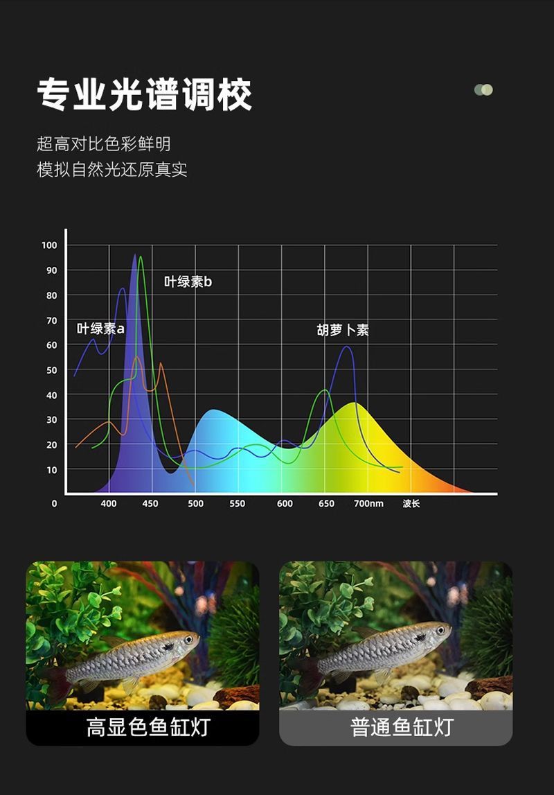 6c83b57b-ac3d-456d-9c3f-805e29f40db2.jpe