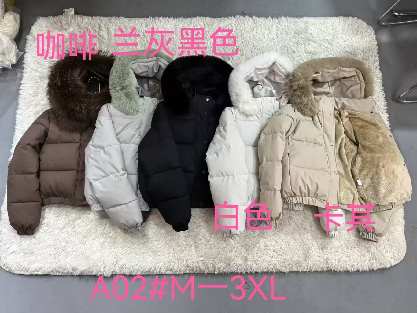 A02.jpg