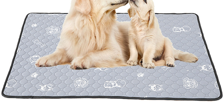 印花狗宠物尿垫-恢复的_02