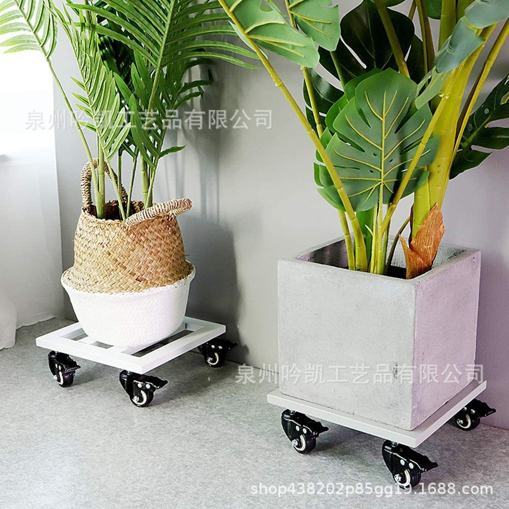 71v-BWSFPYL__AC_SL1000_