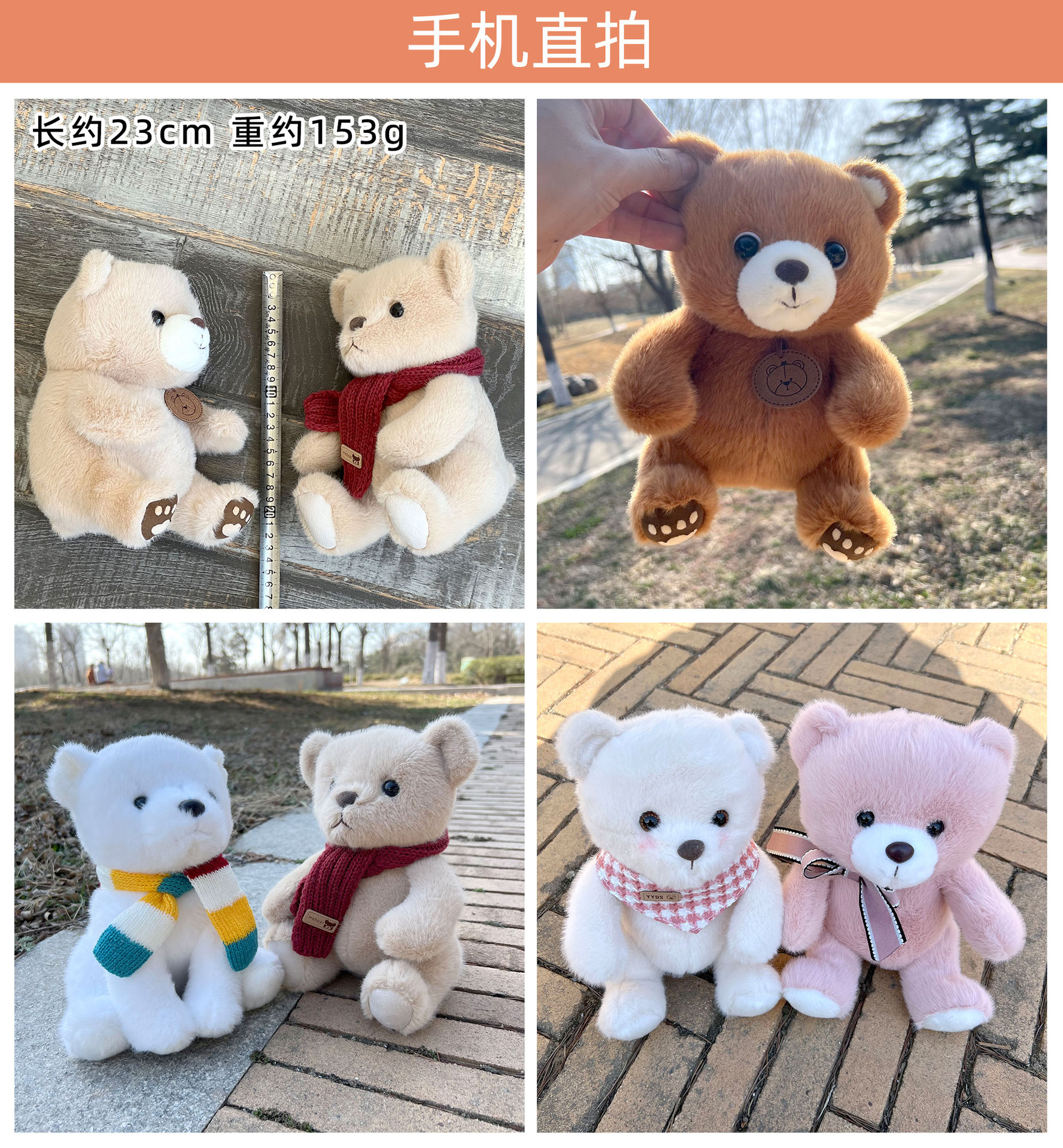 手机实拍-八寸熊.jpg