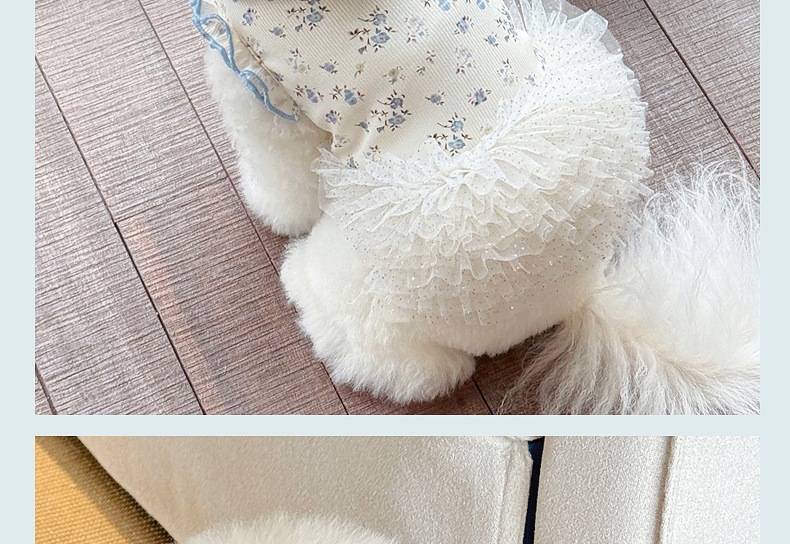 1007.jpg?x-oss-process=image/format,png