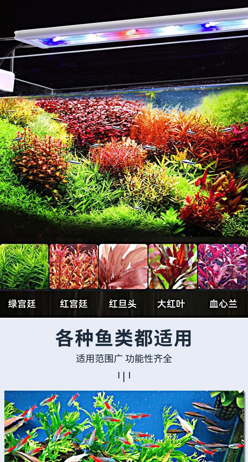 91ba23ca-3175-4378-959c-c2f34289ee95.jpe