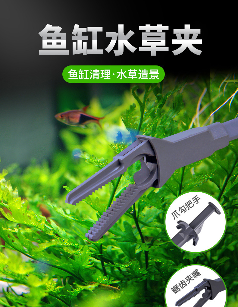 详情-03-(1)
