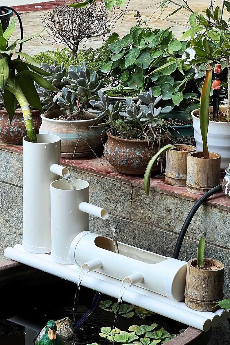 d26d1bab-5f8a-474f-84ac-b8c1c28dc5c2.jpe