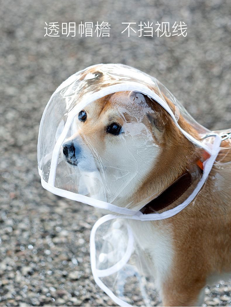 9726d7d8-2d7b-4081-861d-3d3eaaa7bb37.jpe