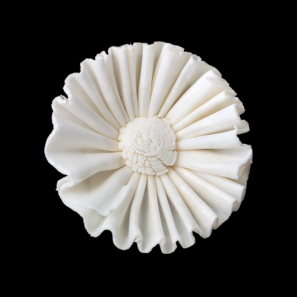 4.5cm太阳花