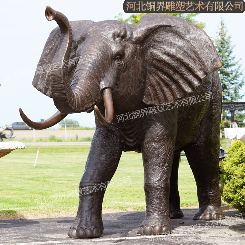 大象00.jpg
