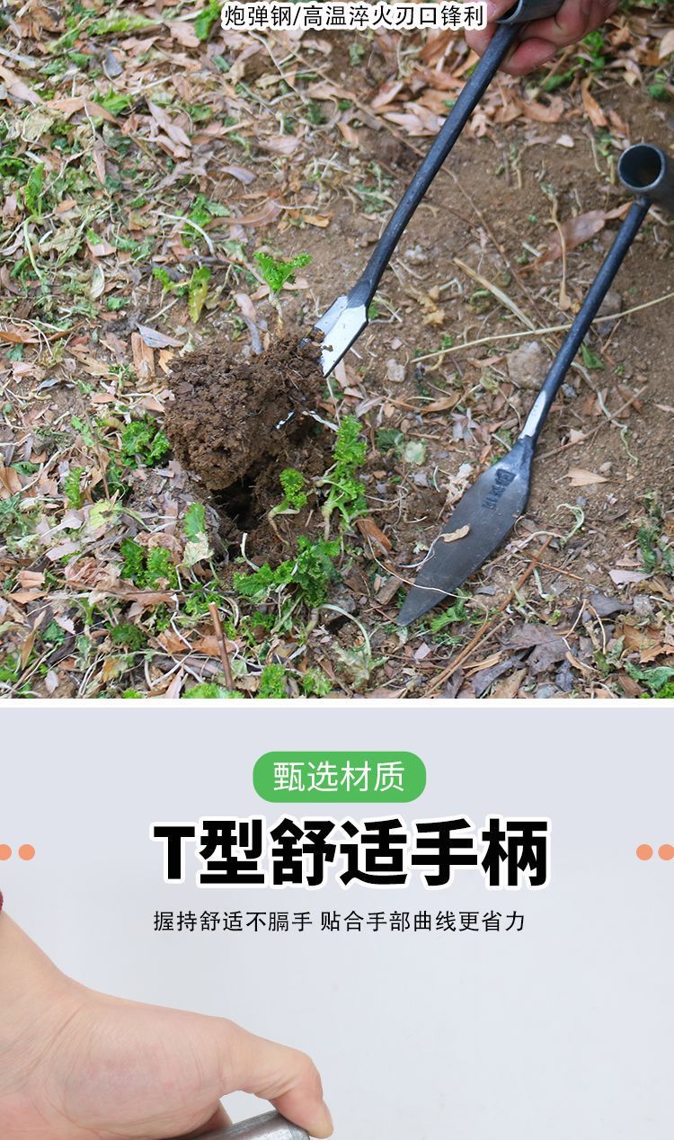 2922362f-cf6b-4a46-b45e-ad64226b8321.jpe