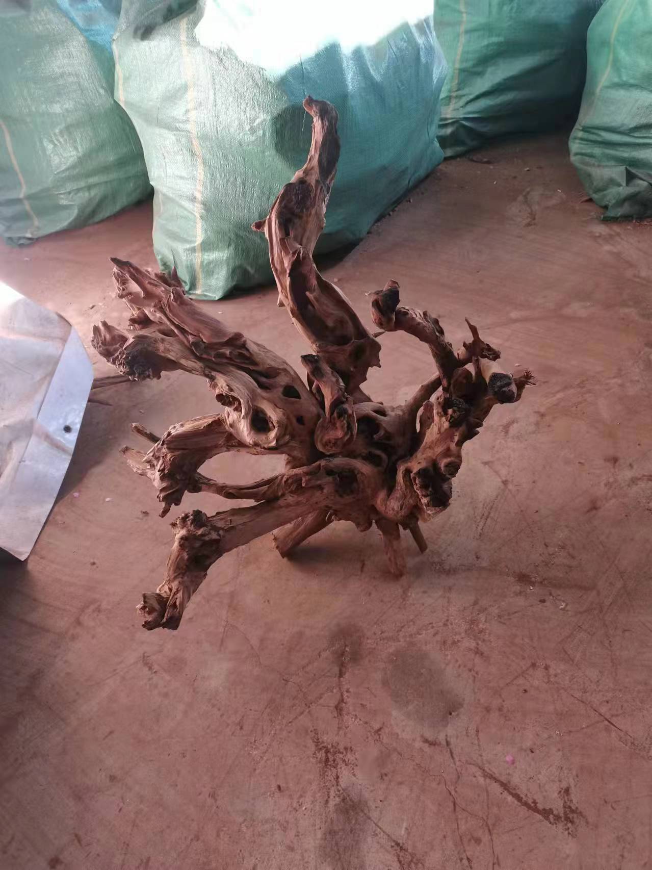 6f07896a1a2221a6d9715a34cbeab0