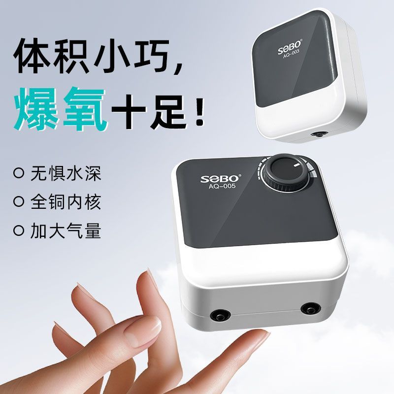 24f44fbe-b7c4-4c75-a7a1-f464eb45dc93.jpe