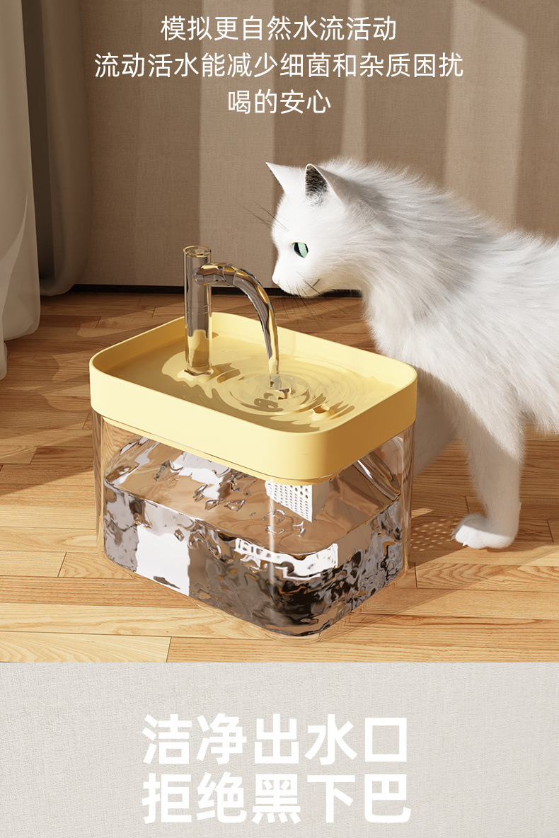 4ab85fbd-6ff8-43a2-a32b-d31e9465f987.jpe