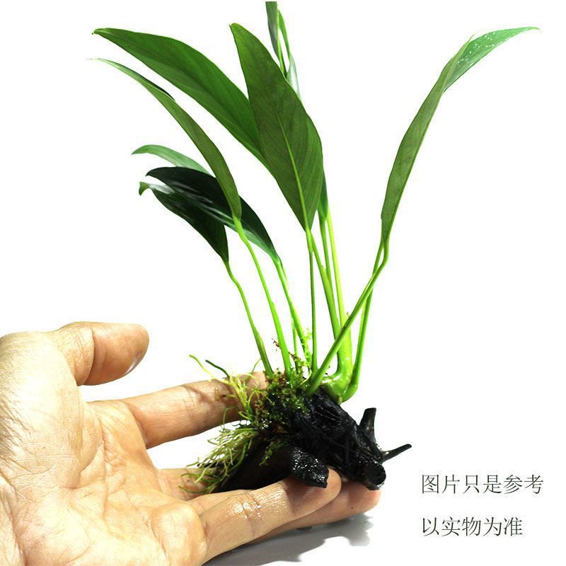 8bcc0bb8-5a15-4c06-9d2e-cd88a14c14e7.jpe