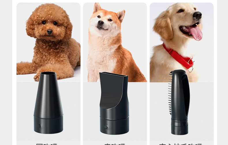 79d09dbf-3f38-40f0-b180-61a3c6b06991.jpe