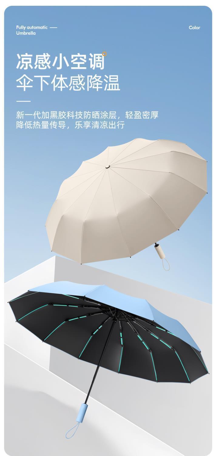 ce0a10a9-6737-42cb-8cd6-47dad1c8f086.jpe