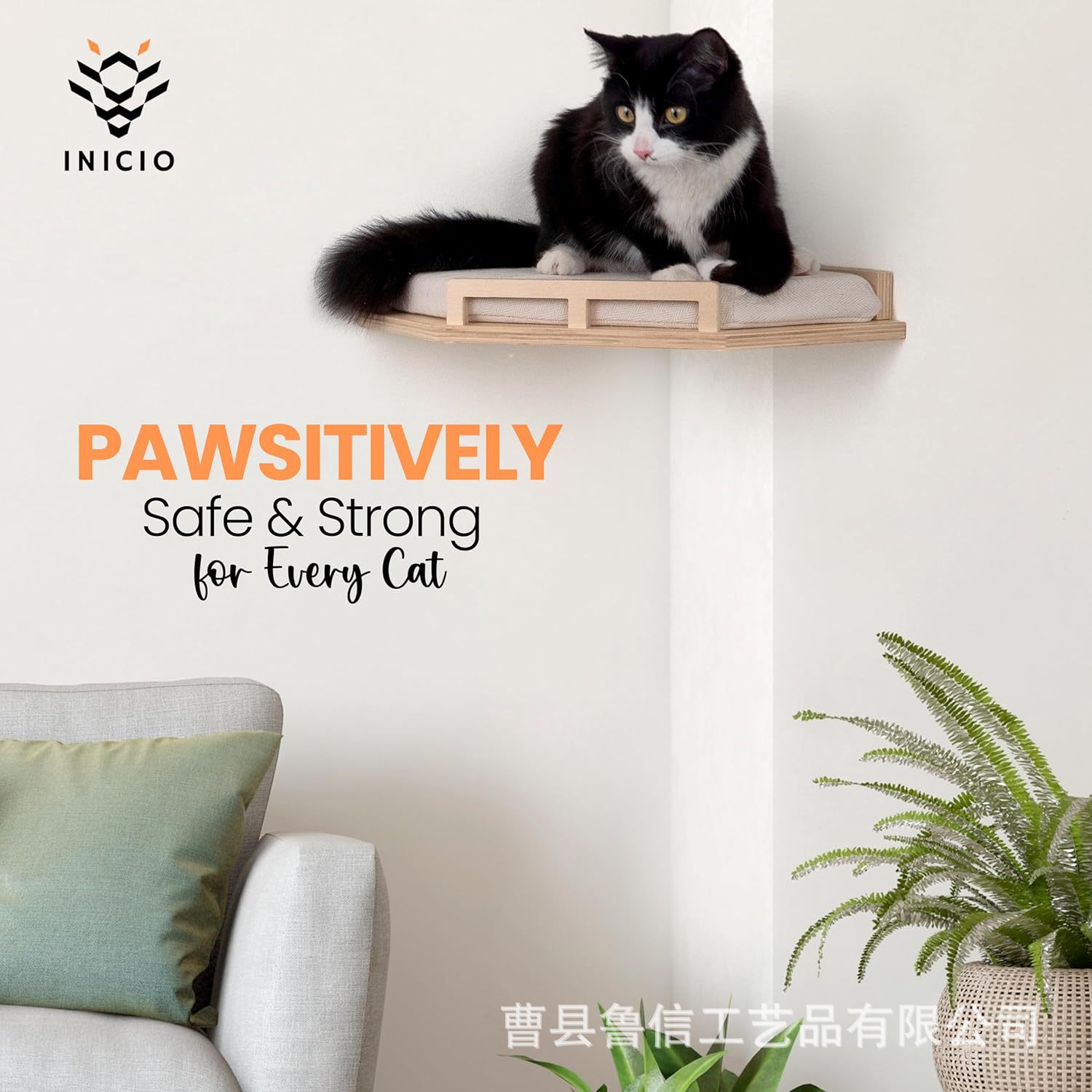 81+z0Ga9jiL._AC_SL1500_