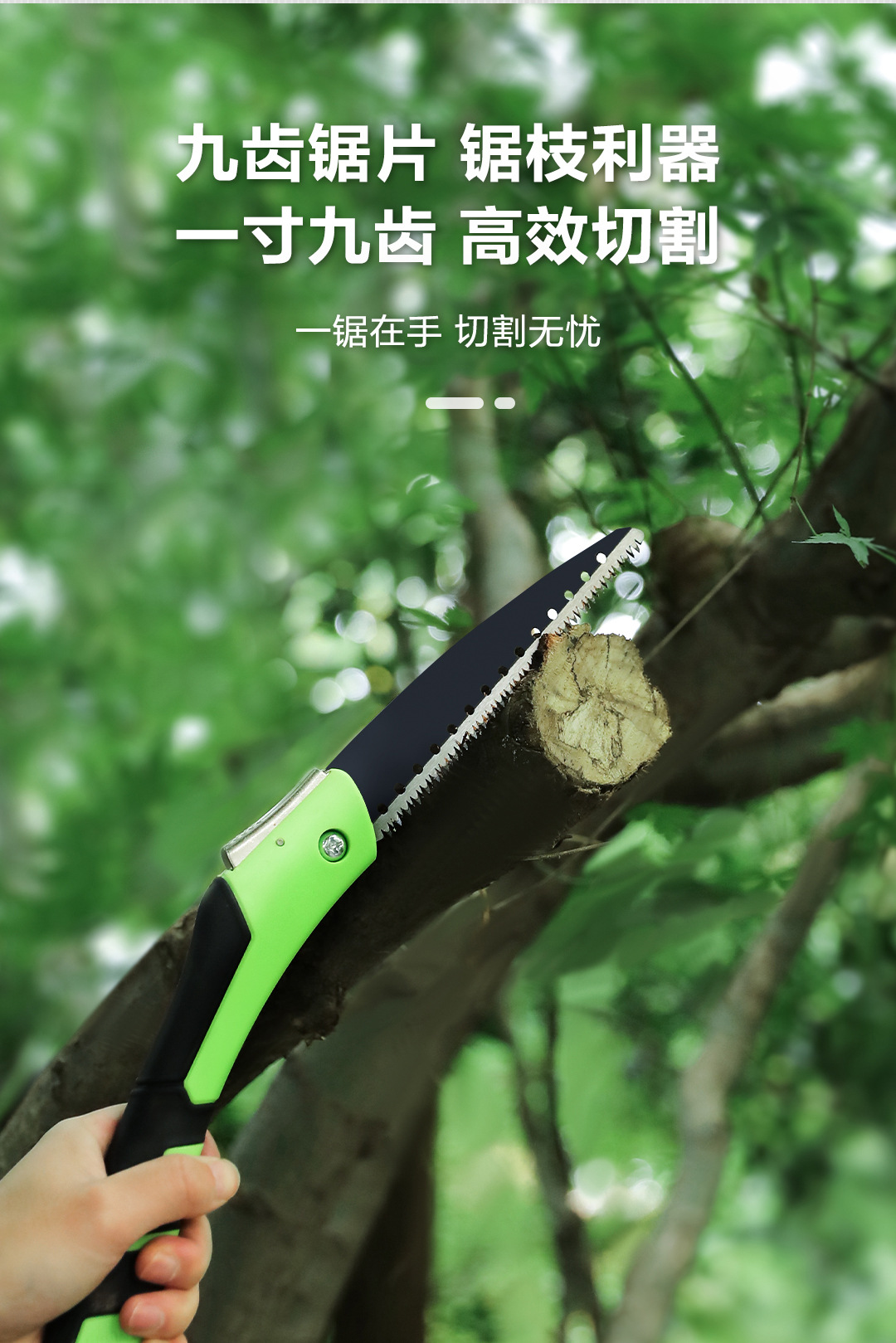 DL580602 (12).jpg