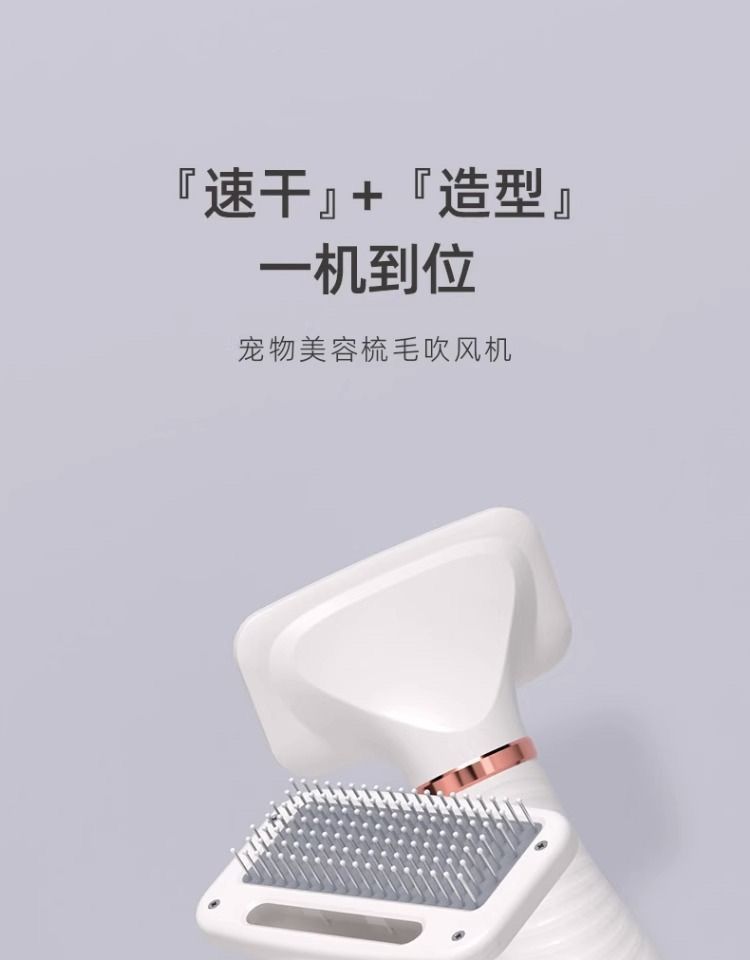 291423d3-533c-42dd-b576-19c7709bf65d.jpe