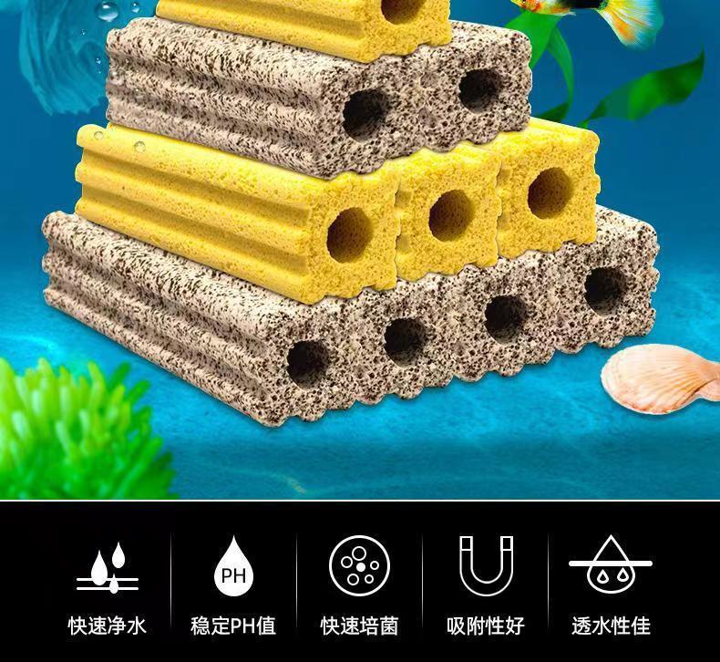 2570cc46-a2bb-4797-b3cf-12517554837f.jpe