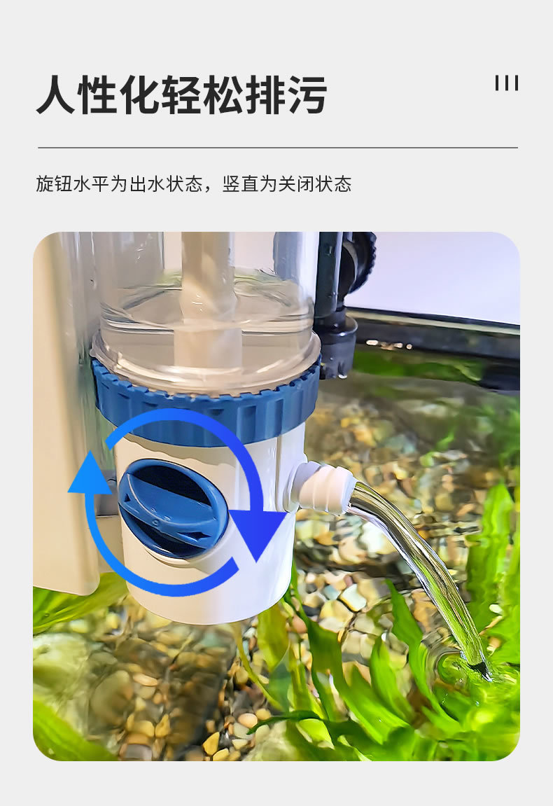 53cf9748-6c68-4b5b-96d5-28762d697de9.jpe