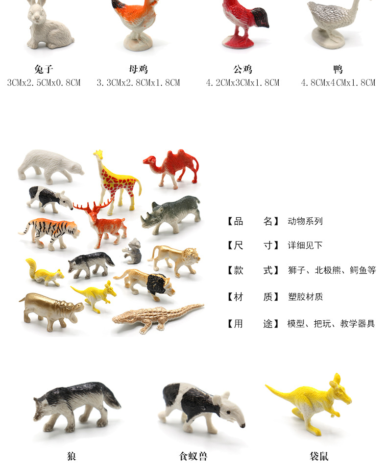 动物世界_06.jpg