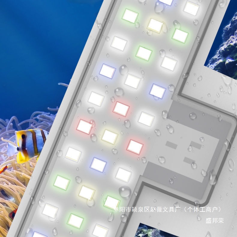 bf5de809-a590-4d03-8dc5-07eef334d051.jpe