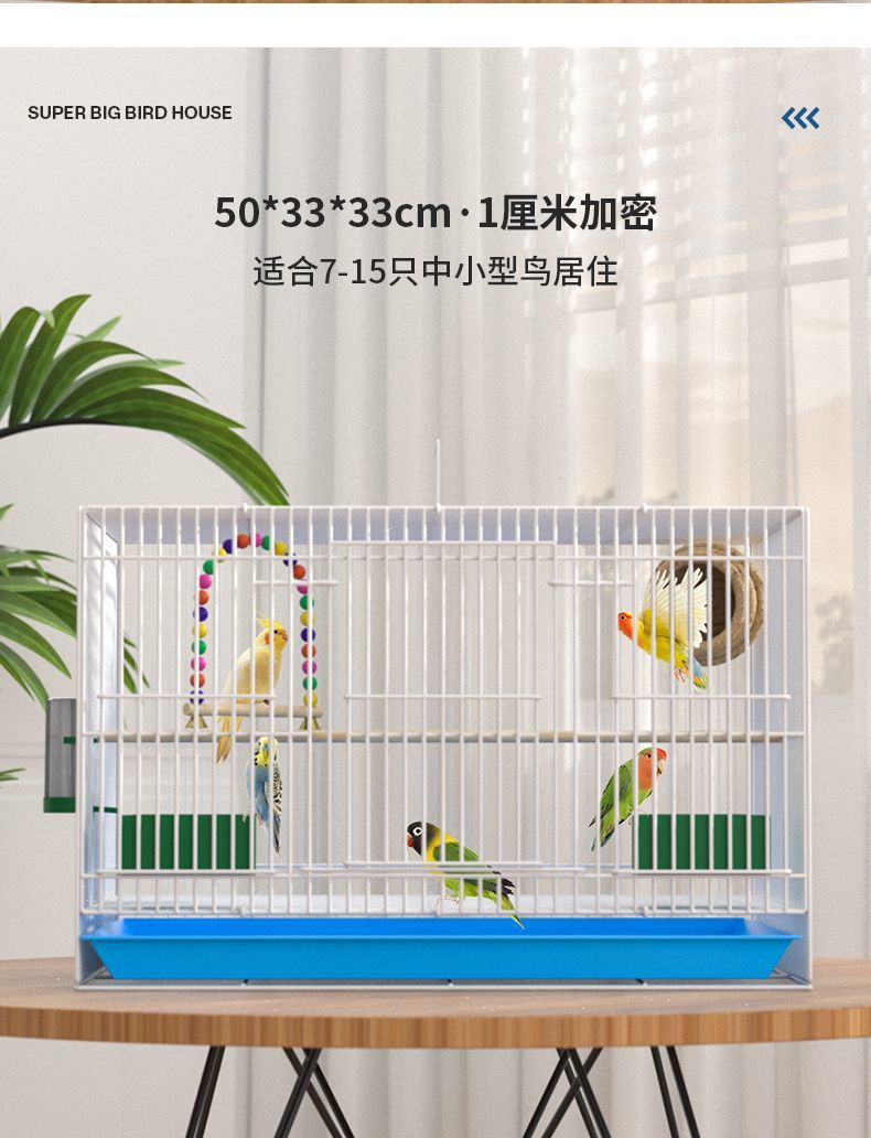 45c118d2-192f-41f0-9c7a-ea9f80eee57c.jpe