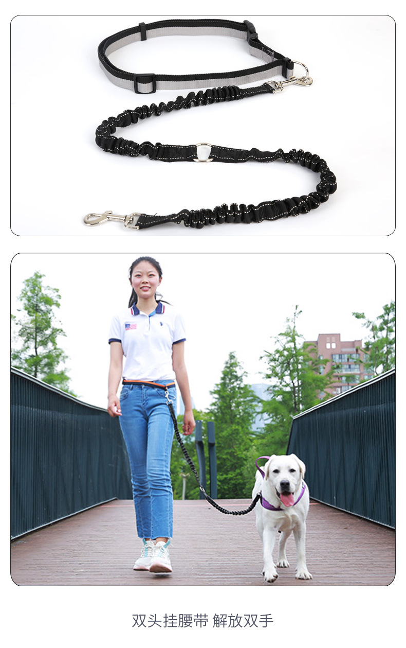 狗狗牵引绳790_14.jpg