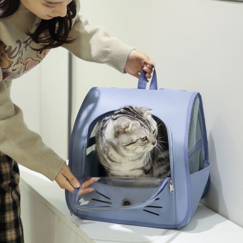 adbfd97f-82d2-4ad5-8a93-286a4550a998.jpe