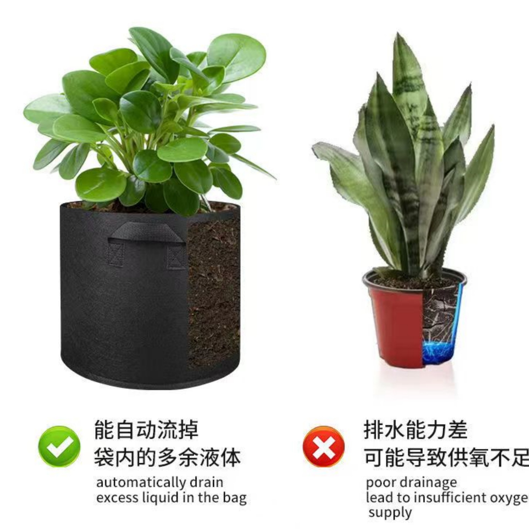 画面