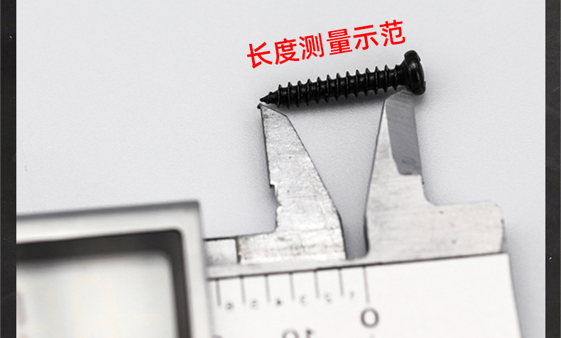 304不锈钢PB十字圆头平尾自攻螺丝_03_20.jpg