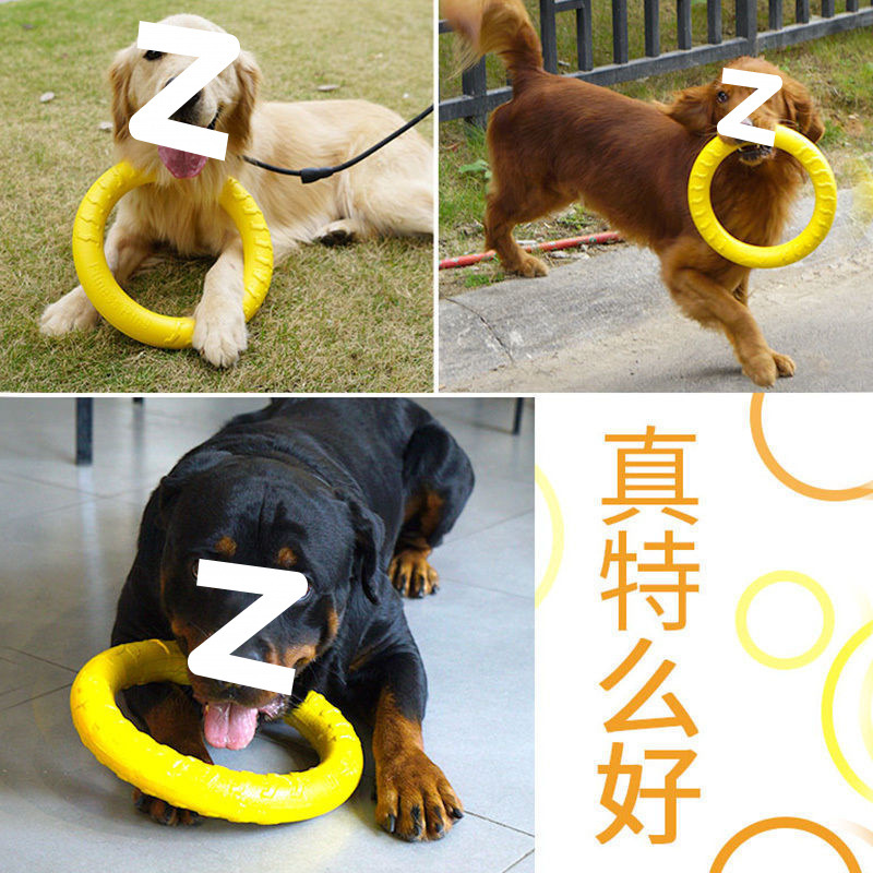 2dbb43d7-cc64-4dc2-a45b-ff205932bea5.jpe