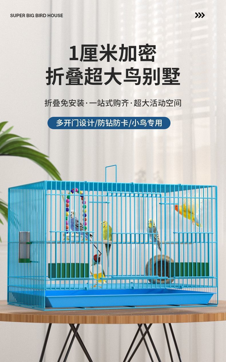 39970b75-dbc4-4d63-9b03-3aebdd9cfc19.jpe