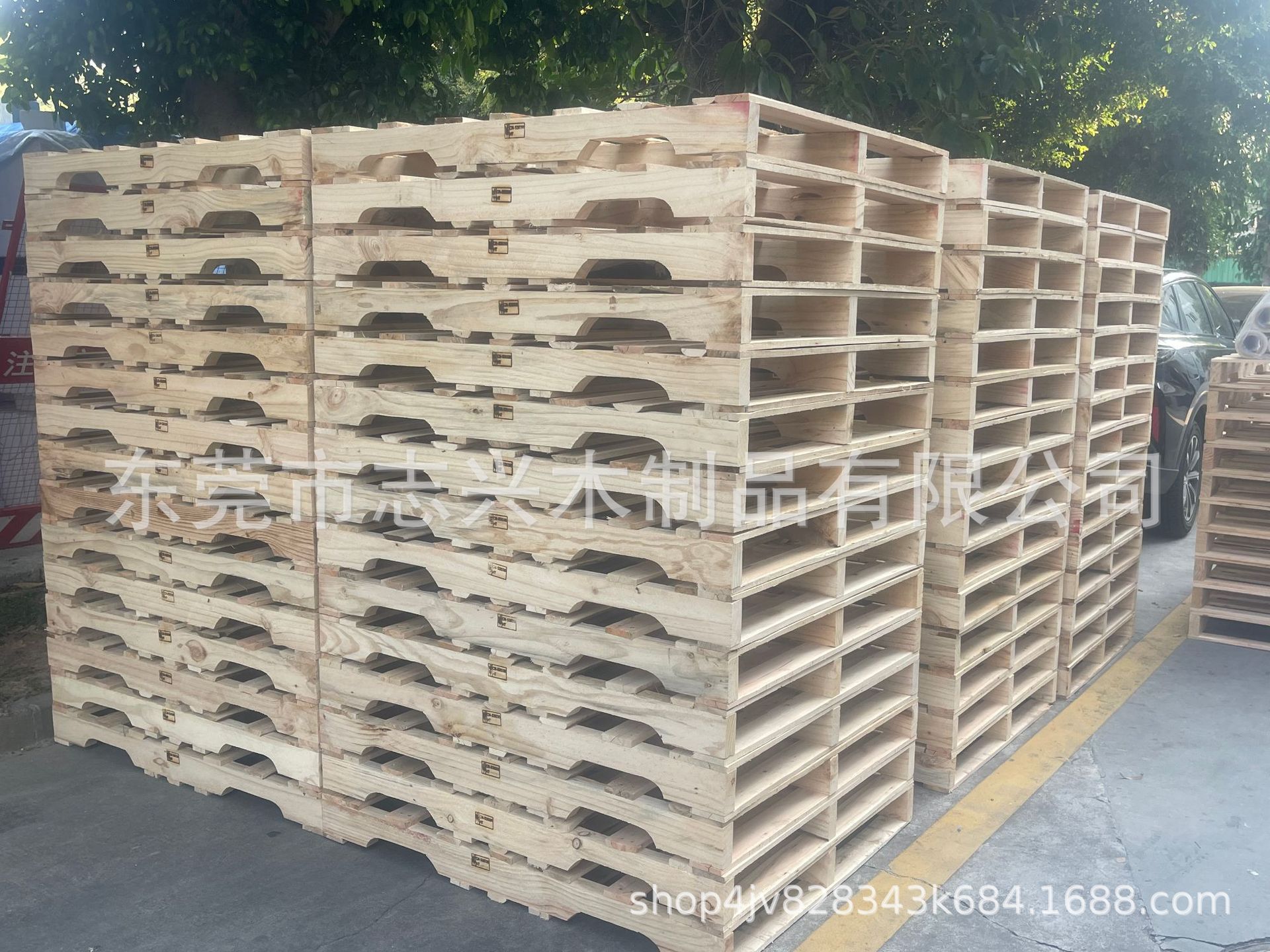 微信图片_20250609215506