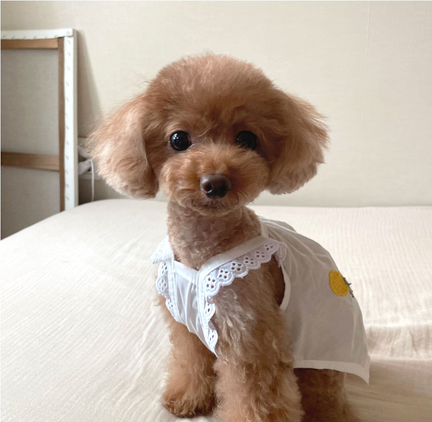 微信截图_20210512140804.png