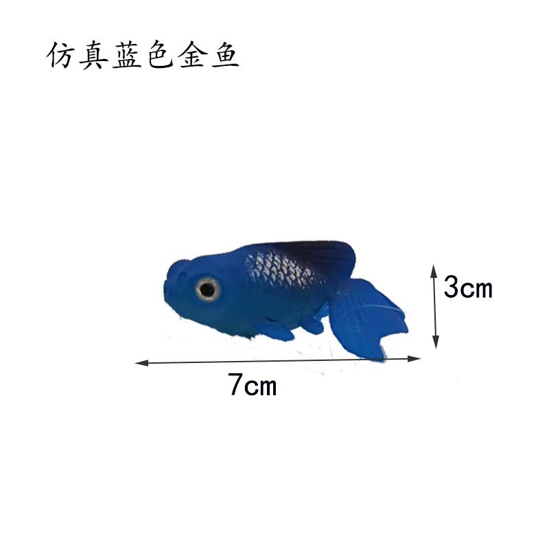 蓝色金鱼尺寸.jpg